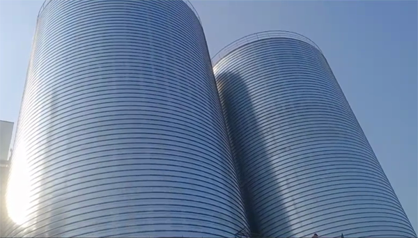 金塔2座混凝土高架卷板仓